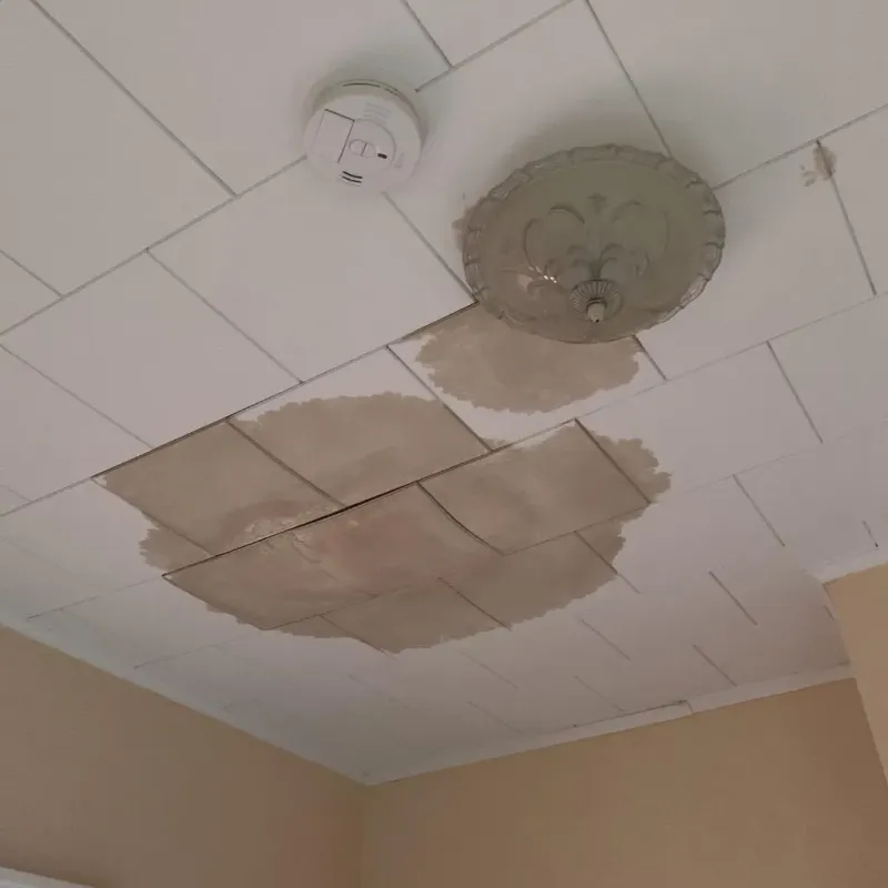 Ceiling Water Damage Repair in Havelock, NC