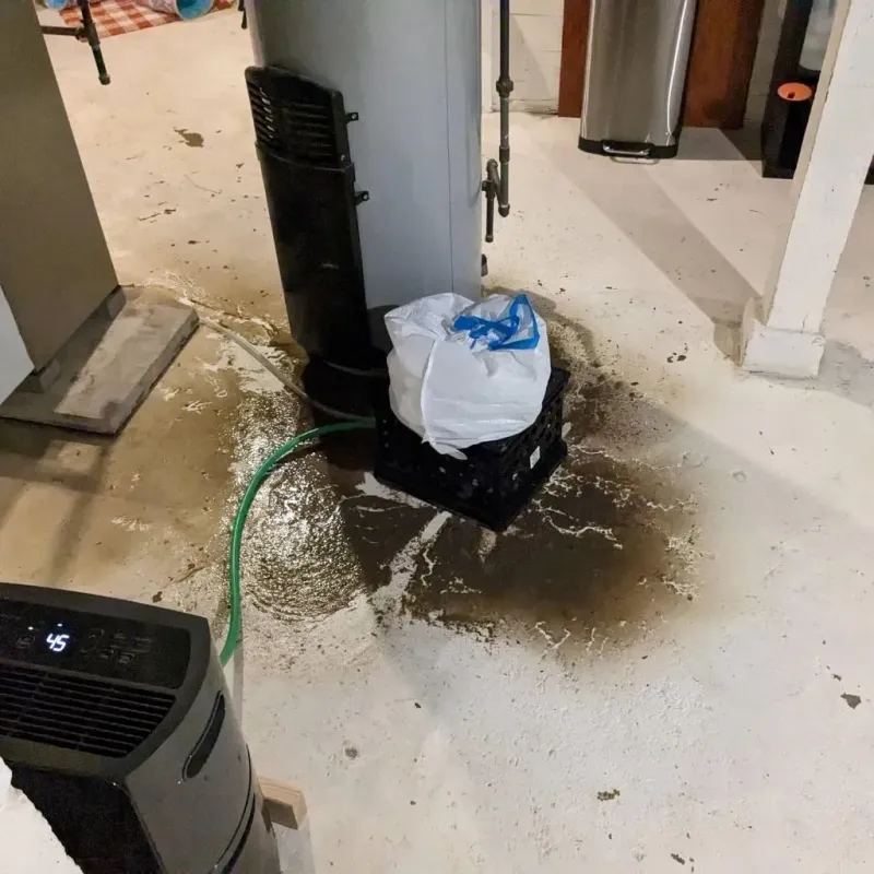 Sewage Backup Cleanup Service in Havelock, NC